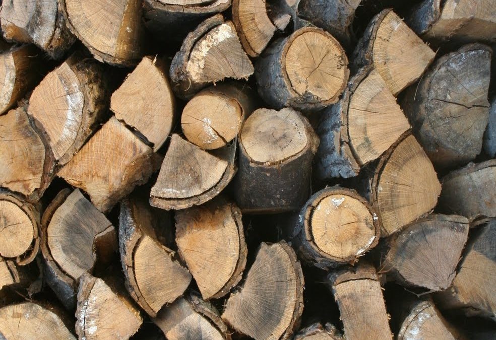Conservación y ventilación de leña y madera